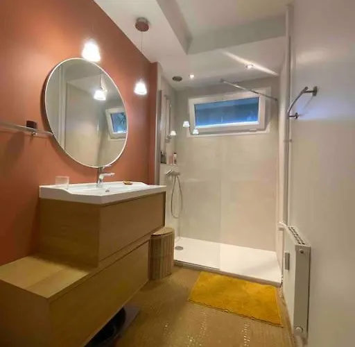 T1 Renove, Idealement Situe * גרנובל